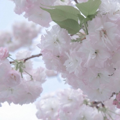 兽设晴天场景设计福瑞群